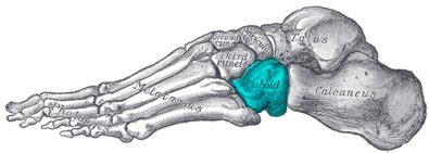 Cuboid Syndrome: Symptoms, Diagnosis & Treatment