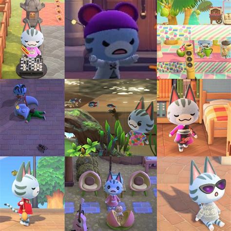 is lolly rare animal crossing 6