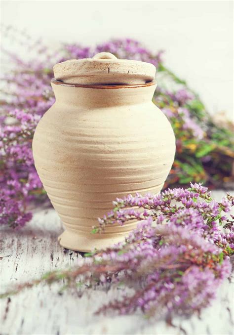 Pet Aftercare and Memorial Services in Decatur 15