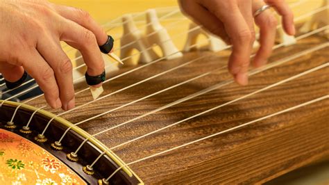 nippon connection opening performance koto