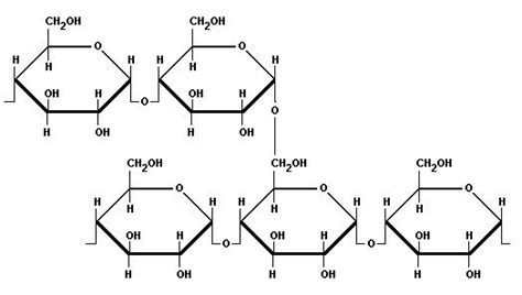 practicos de quimica