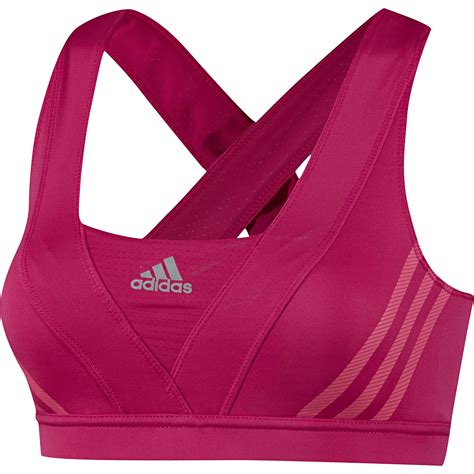 já Bakalářské Zlatý lift sko adidas dam Zřízení Splnit součet