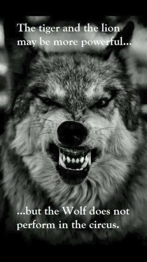 17 Best images about spirit of the wolf within me on Pinterest | Wolf quotes, Be strong and ...