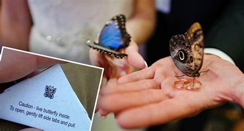 Devastating reality behind 'truly awful' wedding trend