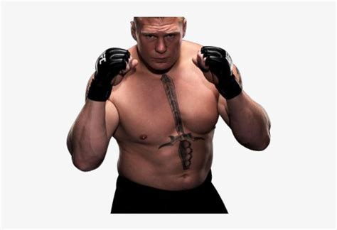 Brock Lesnar Mma Gloves Transparent PNG - 640x480 - Free Download on NicePNG