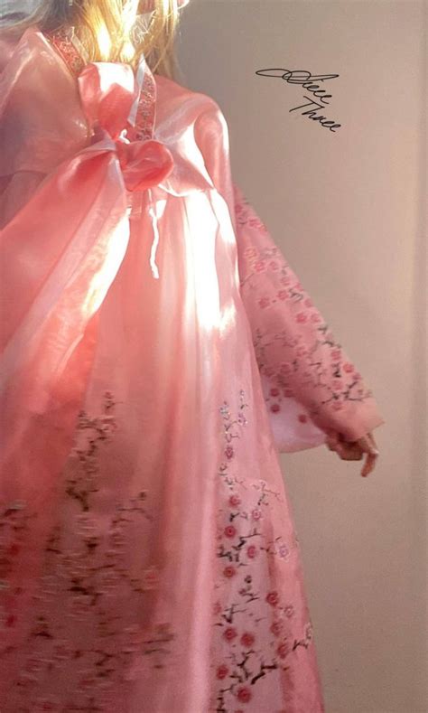 Wearing a Hanbok - The North Korean Traditional Dress — Young Pioneer Tours