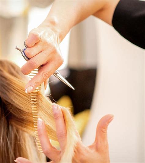 haircut    discover  perfect