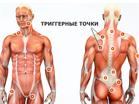 Что такое триггерные точки на лице - фото презентация