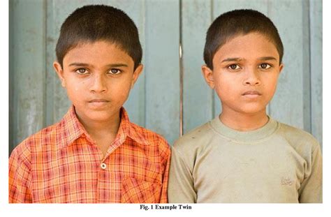 figure   analysis  facial marks  distinguish  identical