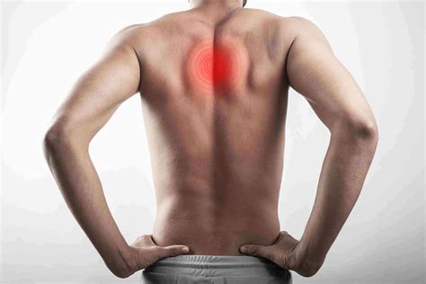 Musculo Das Costas Inflamado - Diagrama Dos Musculos Da Parte Inferior Das Costas