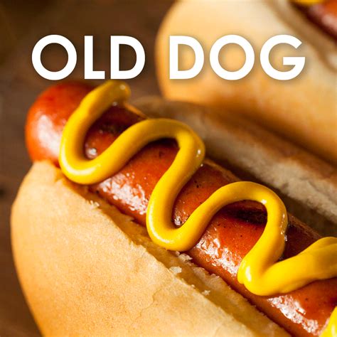 ketchup hot dog gif  gabriel williamson blog