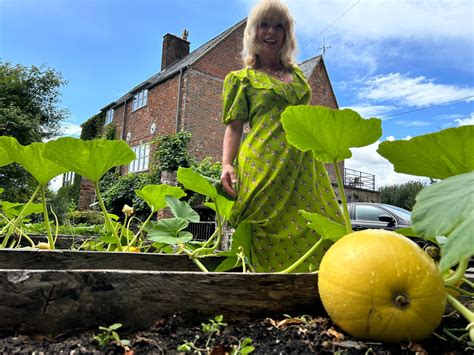 Toyah - “New beginnings, new surroundings, new love Another world to