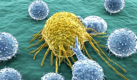 cancer cells kymera independent physicians