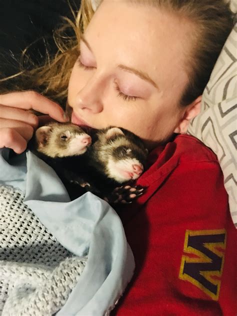 Nap time for these baby ferrets : r/aww