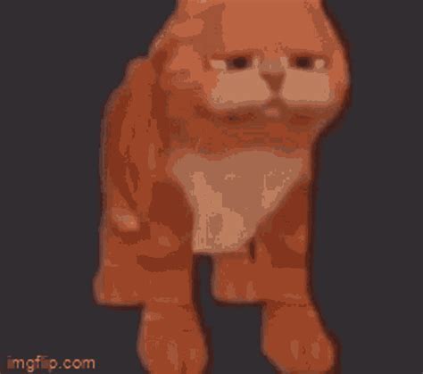 garfield shrink gif garfield shrink discover share gifs