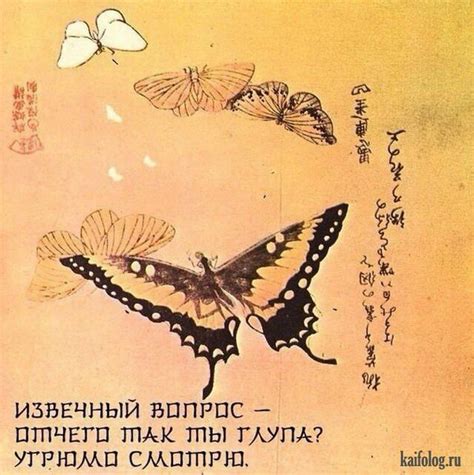 Прикольные хокку (30 картинок) | Humor