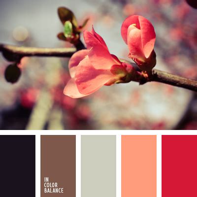 цвет цветов вишни | IN COLOR BALANCE
