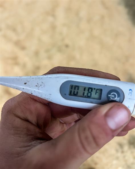 Double - 𝐊𝐧𝐨𝐰 𝐘𝐨𝐮𝐫 𝐇𝐨𝐫𝐬𝐞’𝐬 𝐕𝐢𝐭𝐚𝐥𝐬 Knowing your horse’s normal vitals