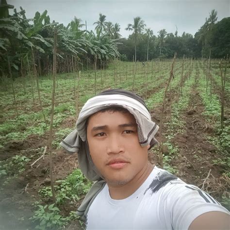 www vinelink com mo 5