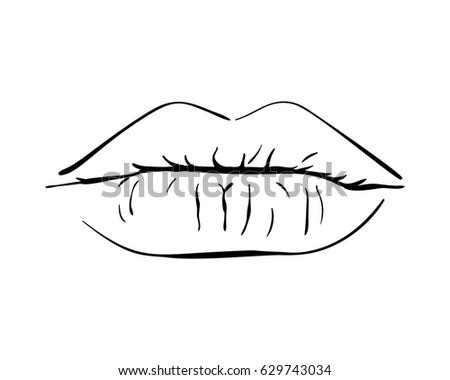 Sexy Plump Lips Isolated Line Art Stock Vector (Royalty Free) 629743034