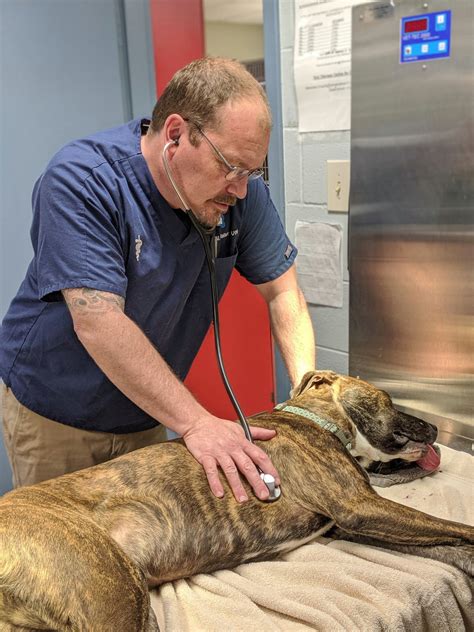 Dr. Ben Walker joined... - Mann Memorial Veterinary Clinic