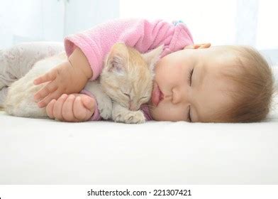 Baby Cat Sleeping Together On White Stock Photo 221307421 | Shutterstock