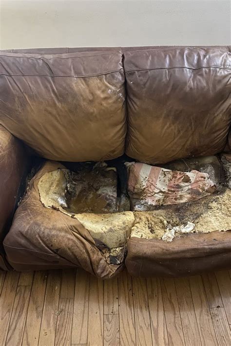 Lacey Fletcher Crime Scene Photos: A Timeline of Neglect - zso49ze