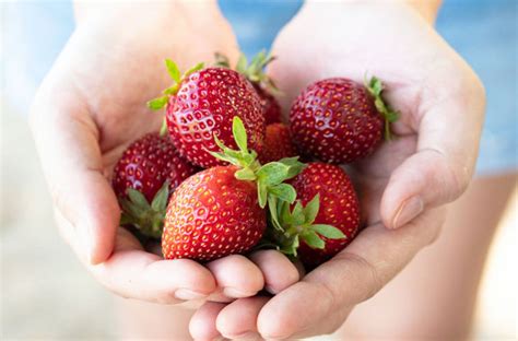 7 невероятных преимуществ клубники для кожи | HappyLifestyle