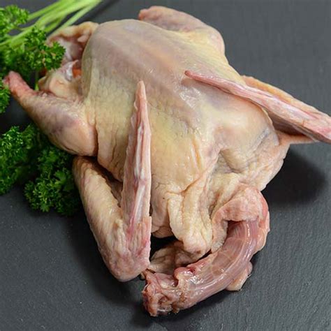Whole Squab for Sale | Squab Pigeon Meat