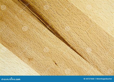 beech wood pattern stock photo image  macro closeup