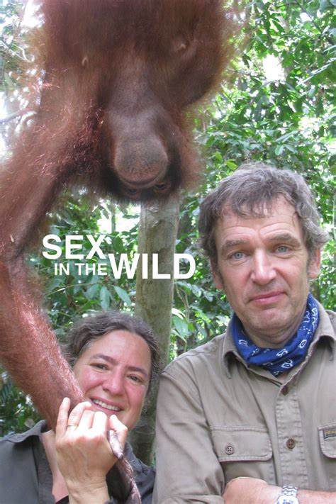 Sex Porn Wild