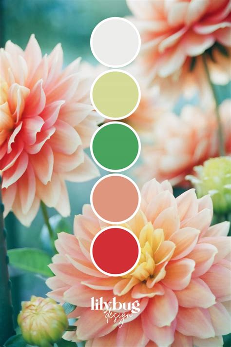 Pink Floral Colour Palette | Color palette design, Color schemes colour ...