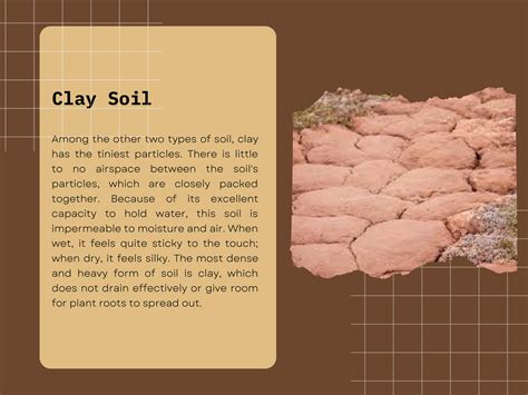 SOLUTION: Major soil types and soil properties ppt - Studypool