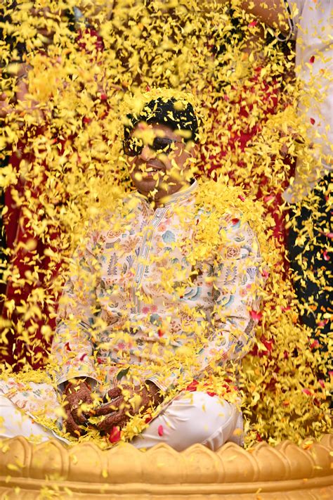 free sophie rain porn 4