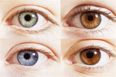 facts  eye color factsnet