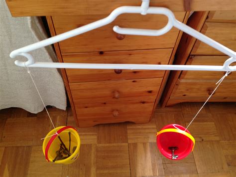 scale  kids  fun  kids