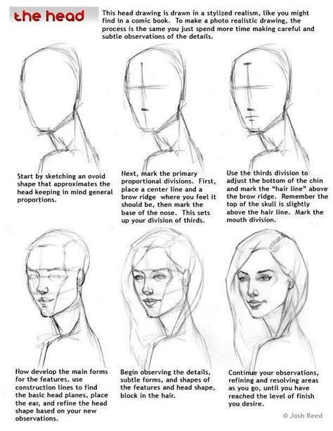 Pin by Andrea Petrucci on Anatomy | Sketches, Drawing people, Drawings