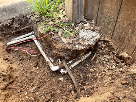 Warning Signs Your Sprinkler System Needs Repair Before It Costs You