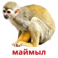 21 Бесплатная Карточка Животные африки на Казахском | PDF