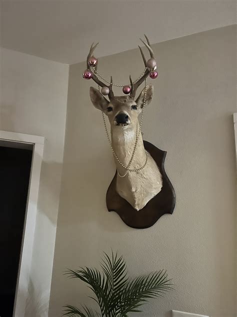 Laura Lux on Twitter: "@FrecktheMole @DarthLux it’s renly https://t.co