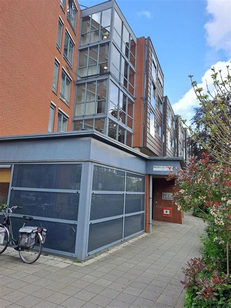 EBS Bus 37 Schedule: Purmerend to Amsterdam Noord 23