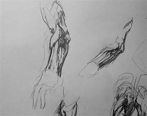 forearm study : r/AnimeSketch