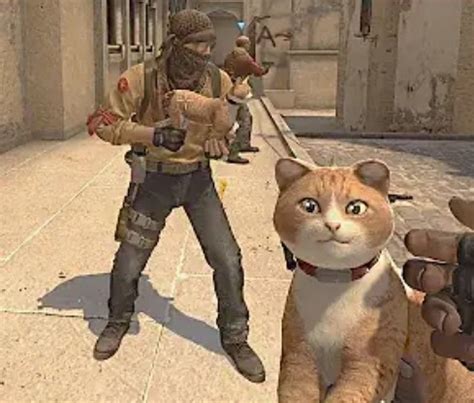 Create meme "cat, counter-strike: global offensive" - Pictures - Meme ...