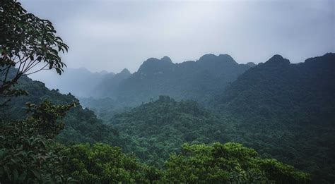 Cuc Phuong National Park - 8 highlights & how to get there