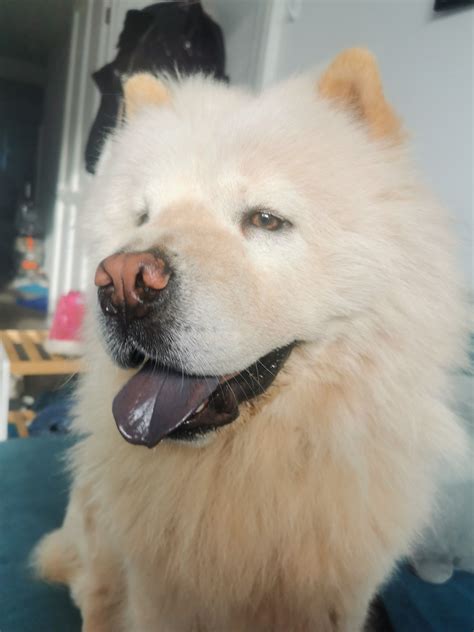 TW Pornstars - Lucinda Love. Twitter. Good morning. 7:06 AM - 18 Aug 2022