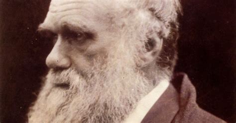 listen   darwinism hang  evolution news