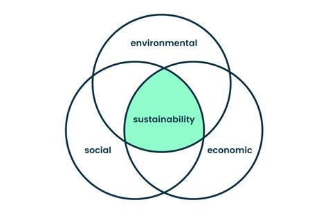 real world examples  sustainability green coast