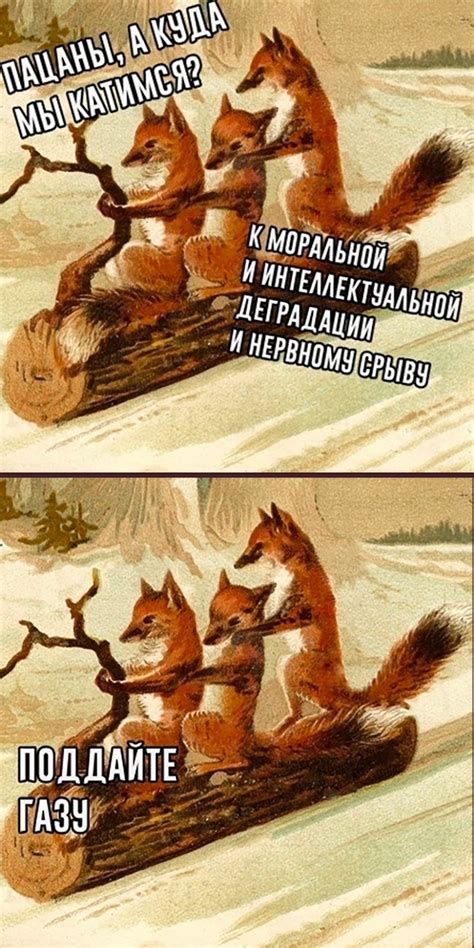 Пятница! | Пикабу