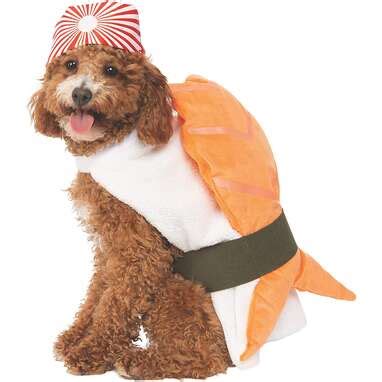 12 Easy Dog Costumes For Low-Key Halloween Parties - DodoWell - The Dodo