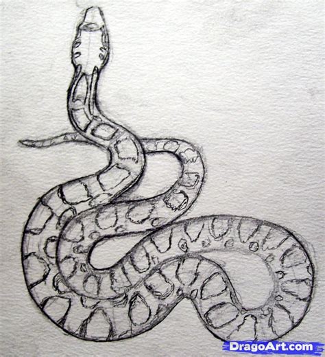 Free Snake Drawing, Download Free Snake Drawing png images, Free ...